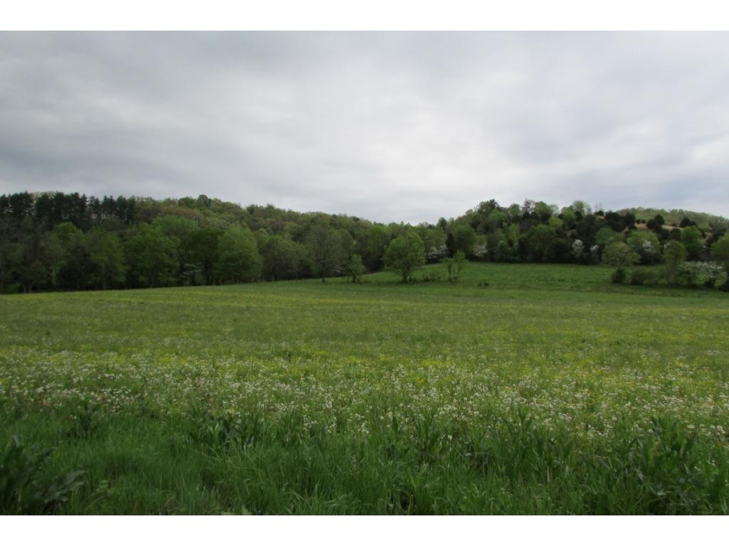 Lot # Campbell Rash Road Elizabethton, TN 37643 - Photo 1 of 6 Photo 1
