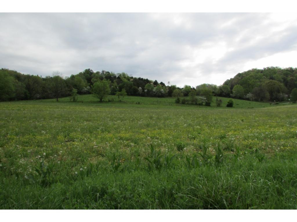 Lot # Campbell Rash Road Elizabethton, TN 37643 - Photo 3 of 6 Photo 3