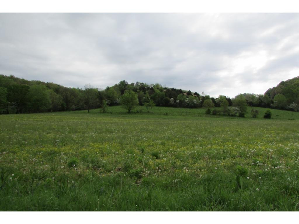 Lot # Campbell Rash Road Elizabethton, TN 37643 - Photo 5 of 6 Photo 5