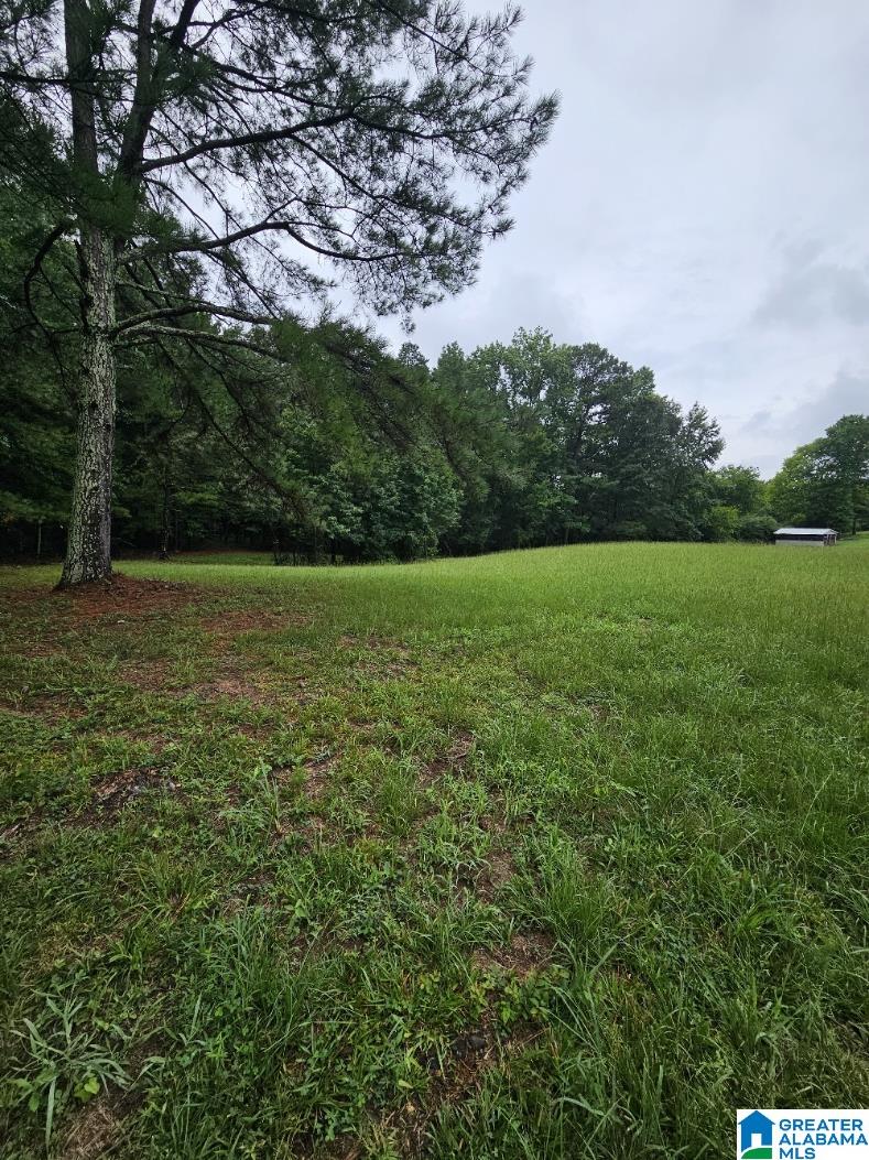 0 James Taylor Road Moody, AL 35004 - Photo 2 of 5