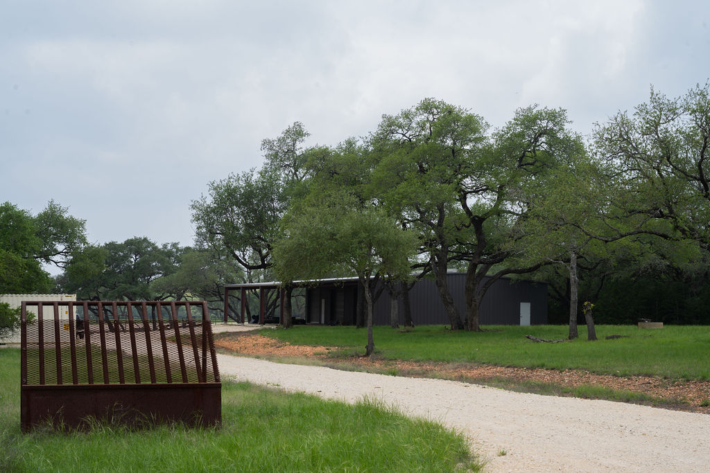 426 Mill Run New Braunfels, TX 78132 - Photo 28 of 40 a view of a yard with a large trees