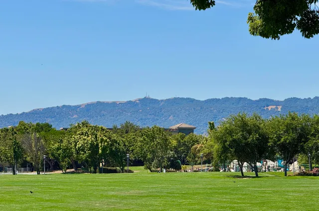 a view of a town with large trees