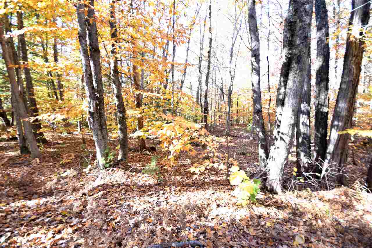 Lot 53 Collins Brook Road, Unit 53 Meredith, NH 03253 - Photo 2 of 2