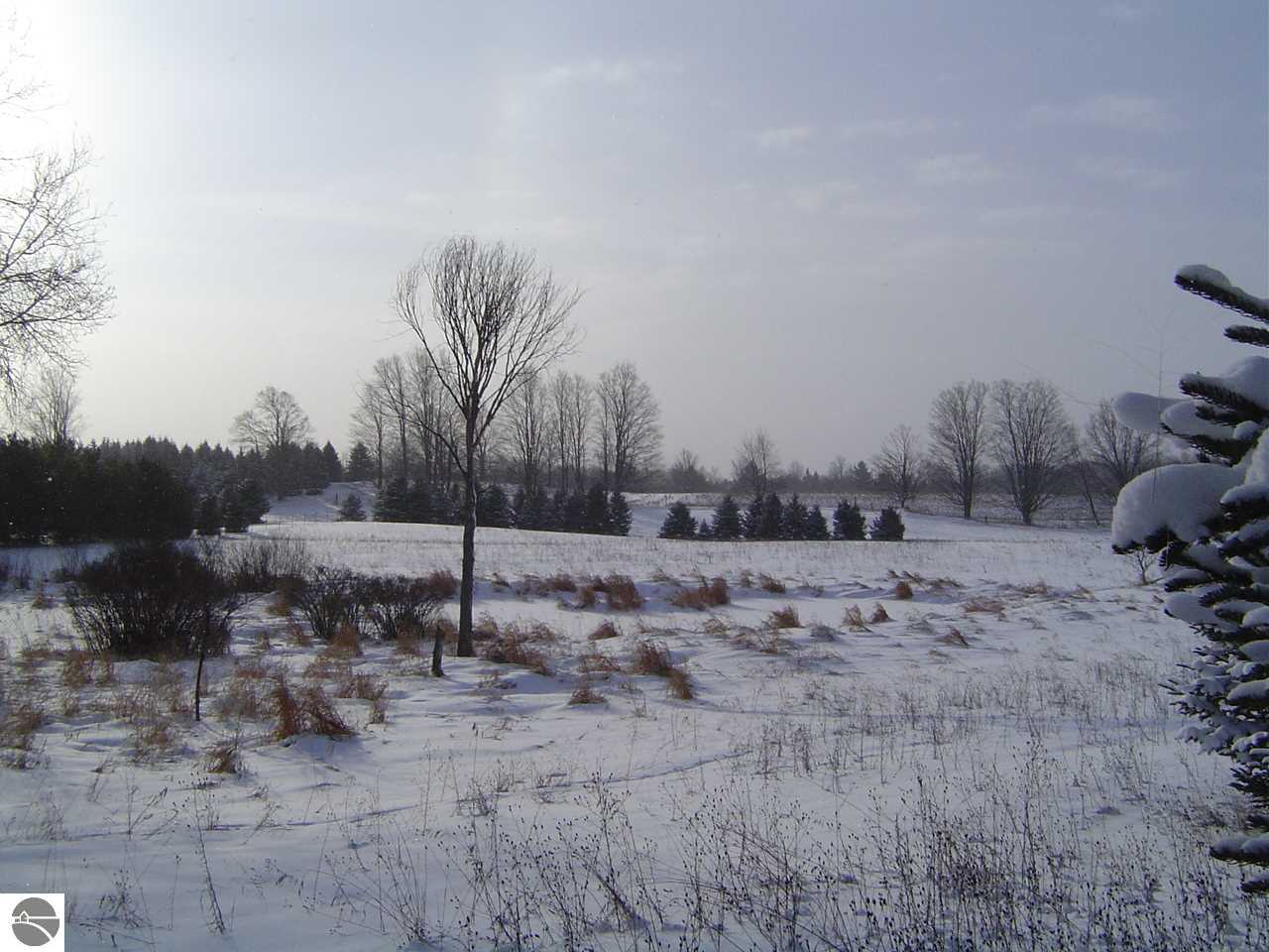 1779412-6.JPG