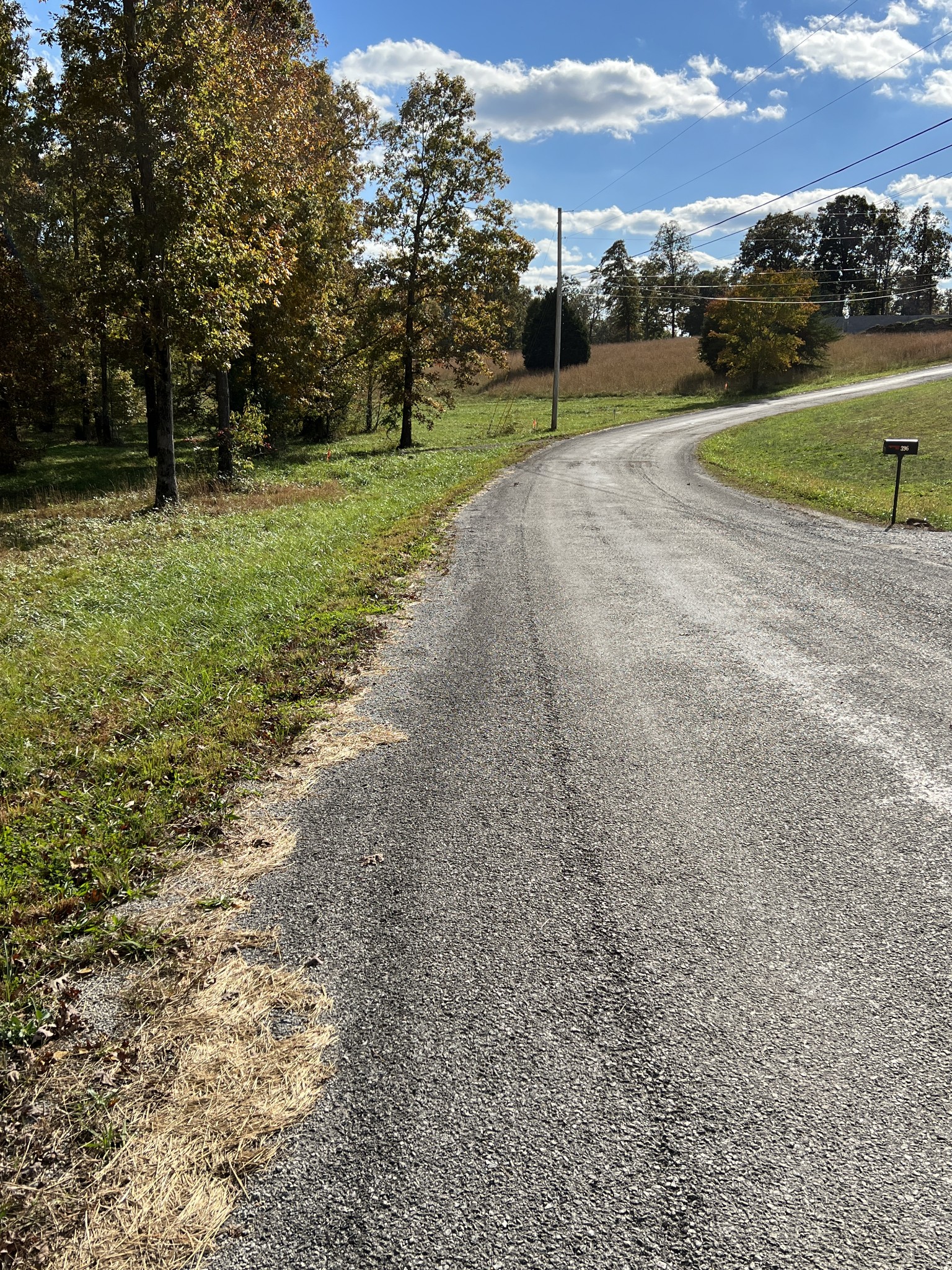0 Double Eagle Drive Summertown, TN 38483 - Photo 12 of 20 a view of a park with large trees