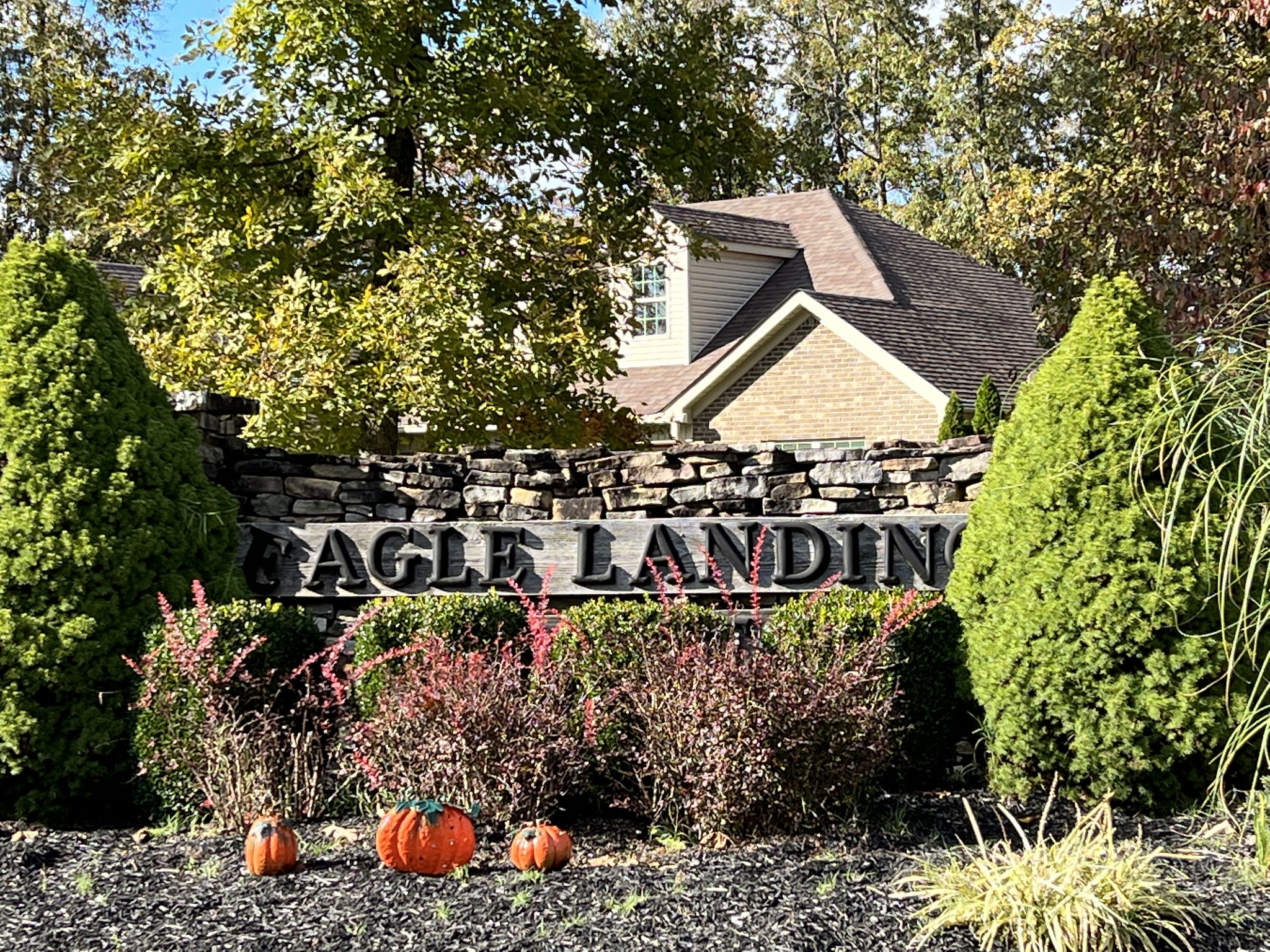 0 Double Eagle Drive Summertown, TN 38483 - Photo 13 of 20 a view of a wooden house with a yard