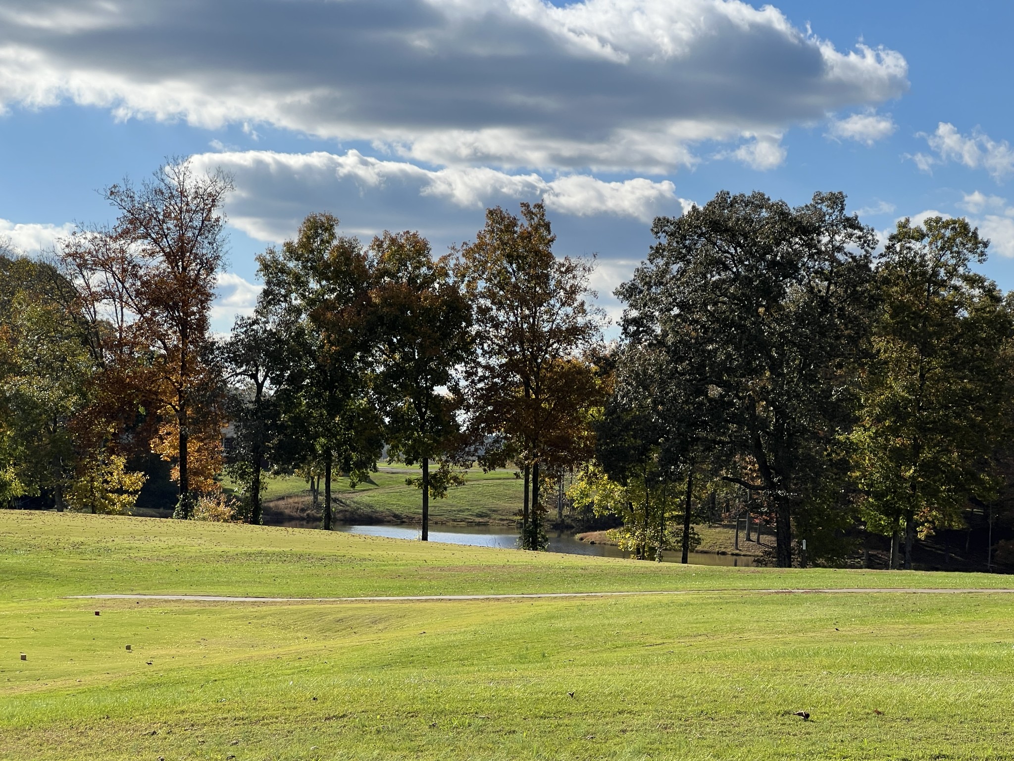 0 Double Eagle Drive Summertown, TN 38483 - Photo 17 of 20 a view of a playground
