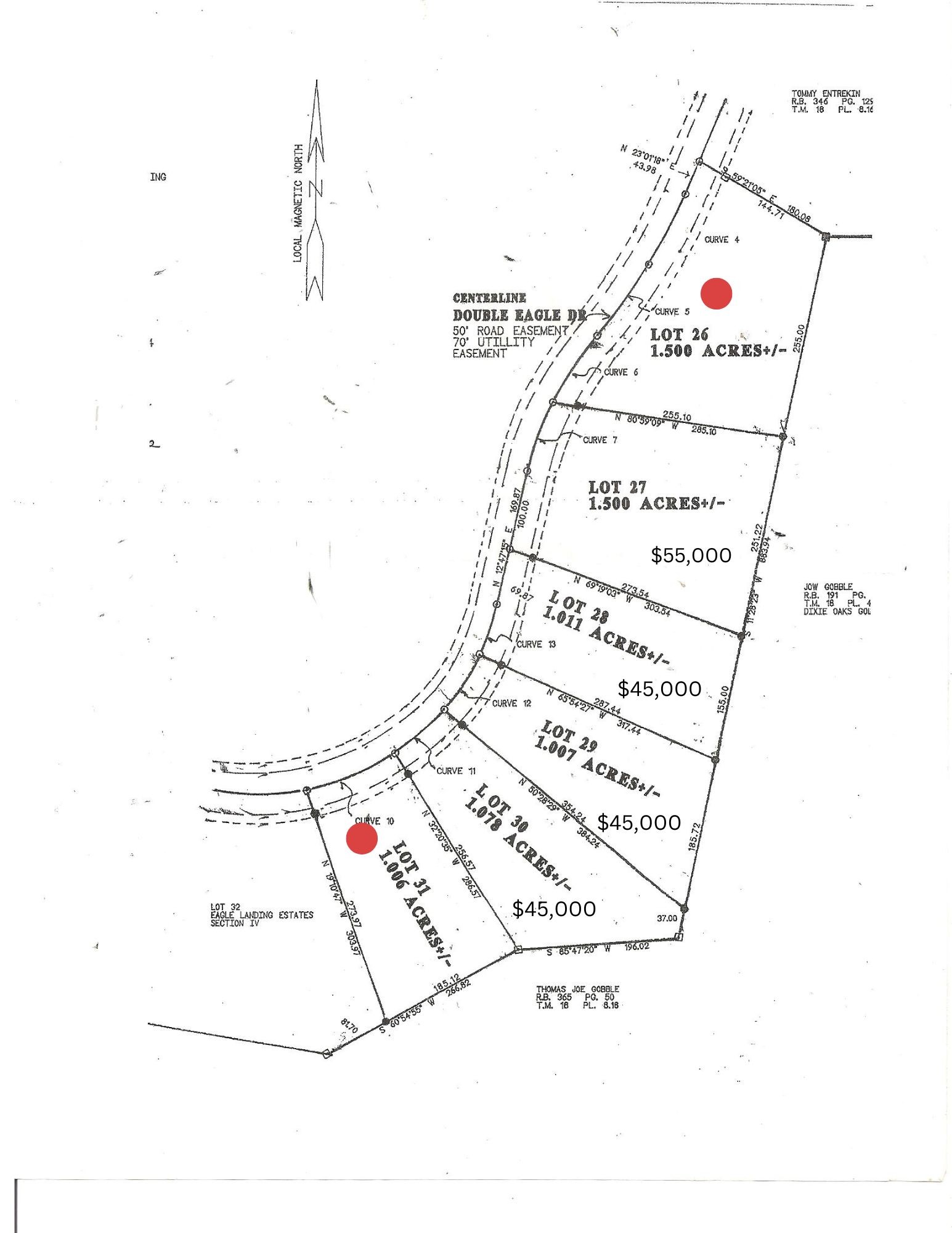 0 Double Eagle Drive Summertown, TN 38483 - Photo 20 of 20