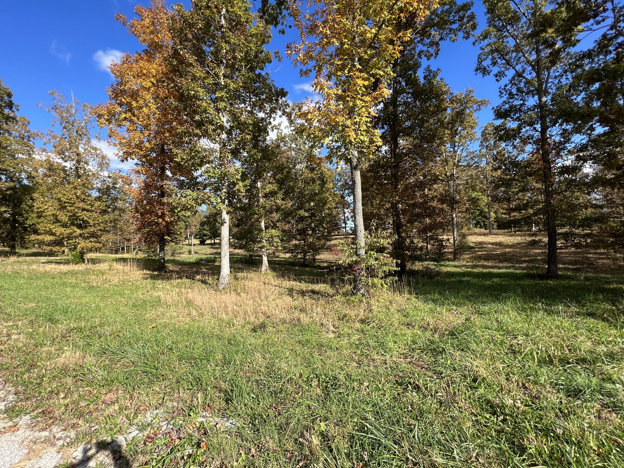 0 Double Eagle Drive Summertown, TN 38483 - Photo 2 of 20 a view of yard