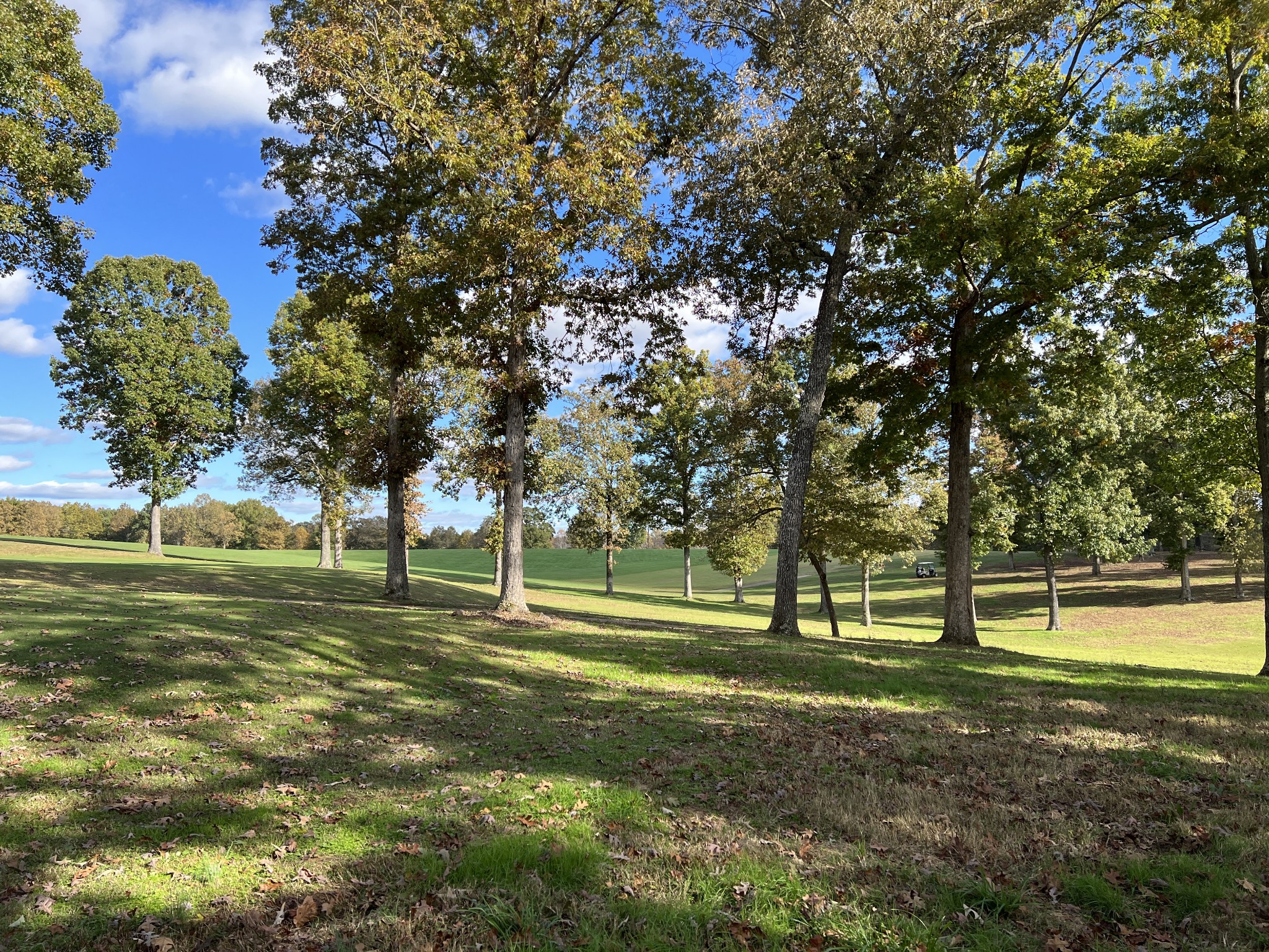 0 Double Eagle Drive Summertown, TN 38483 - Photo 3 of 20 a big yard with lots of trees and plants