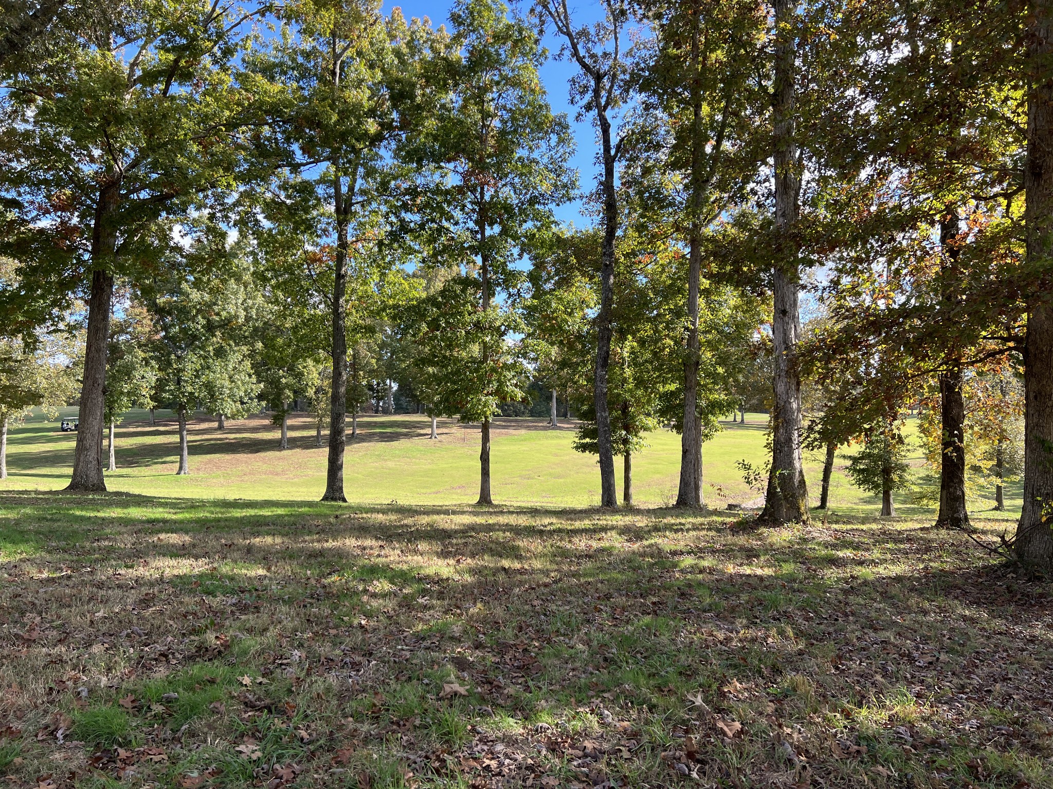 0 Double Eagle Drive Summertown, TN 38483 - Photo 4 of 20 a view of a yard with a tree