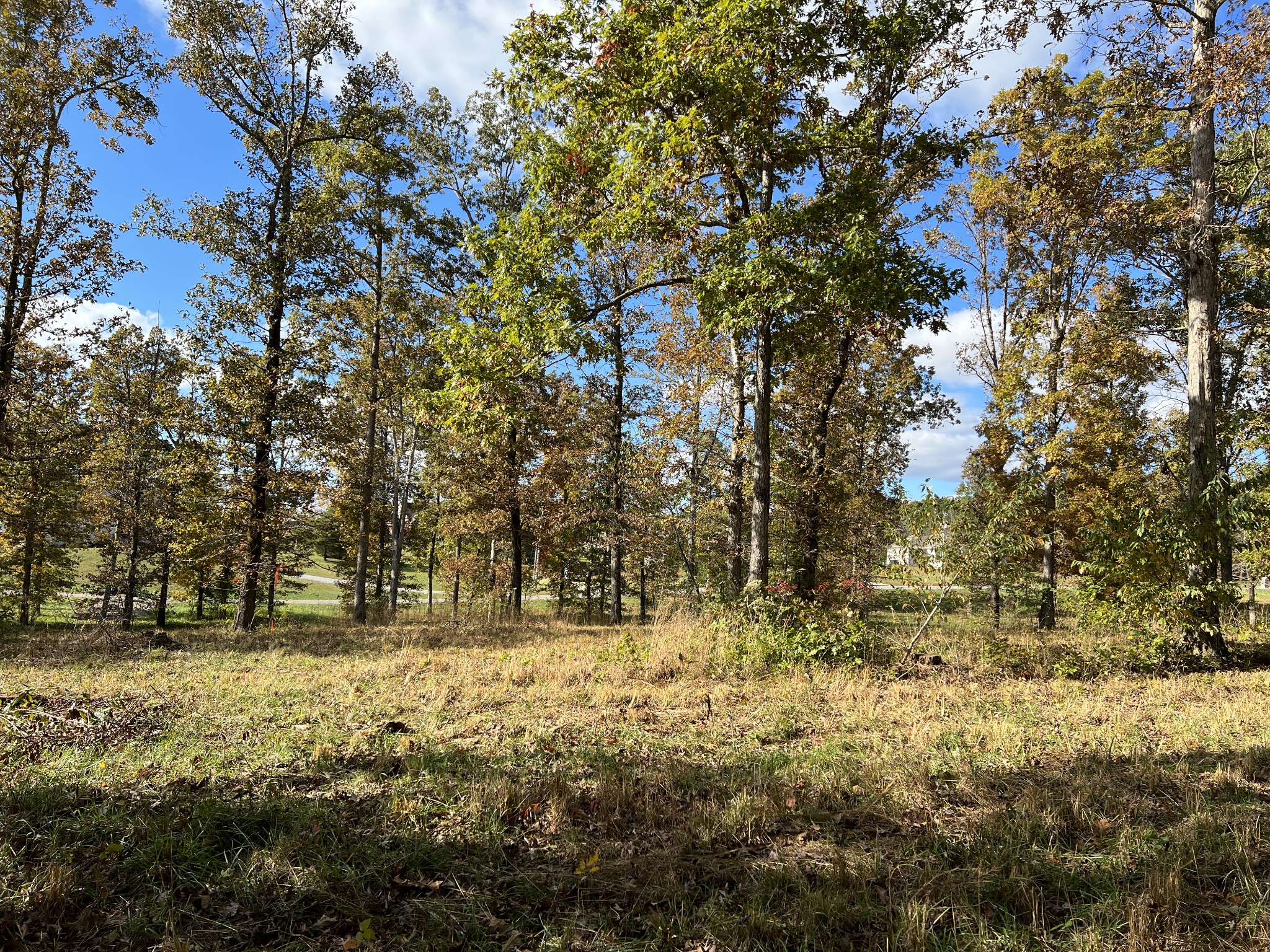 0 Double Eagle Drive Summertown, TN 38483 - Photo 5 of 20 a view of outdoor space with trees