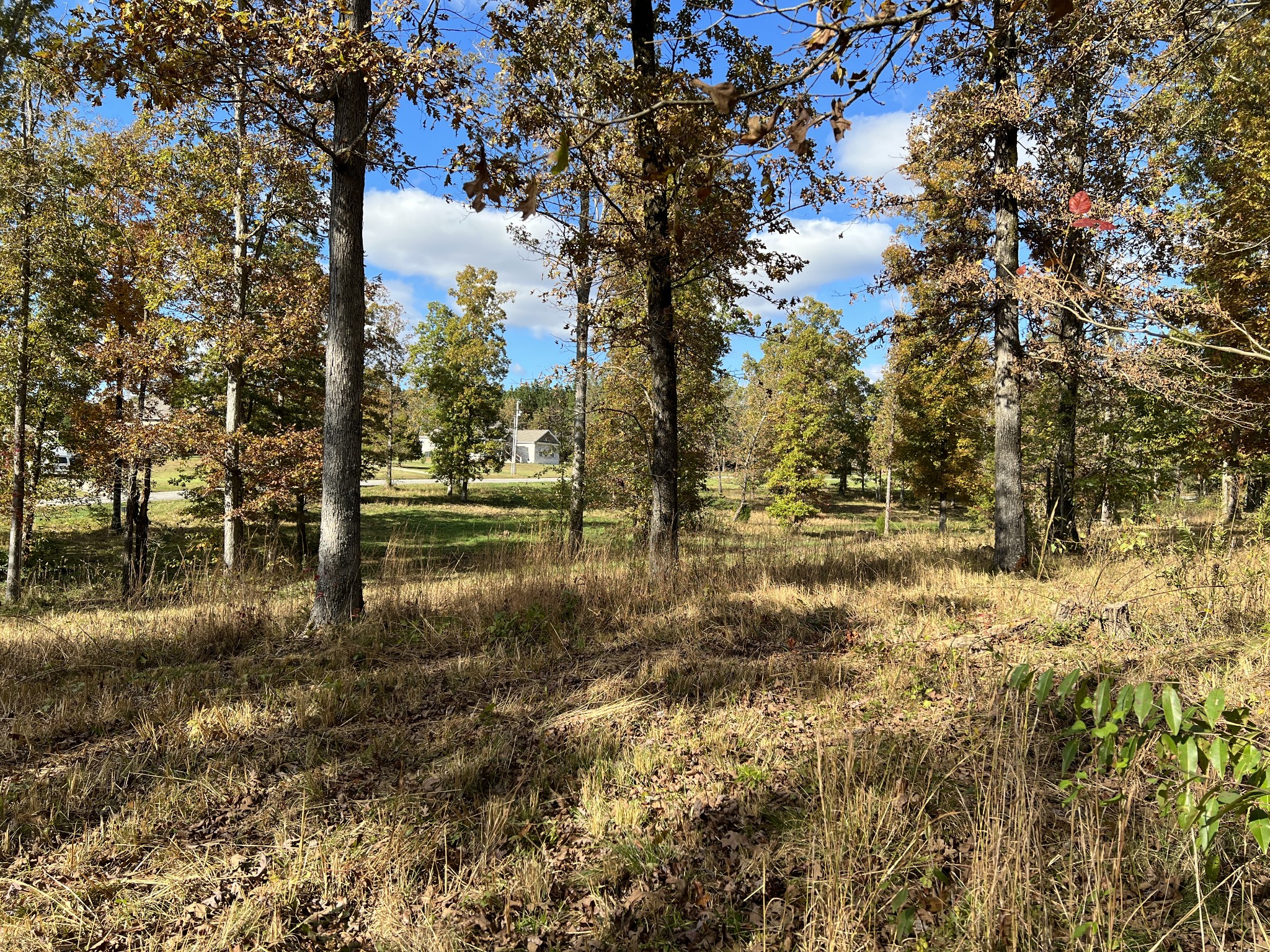 0 Double Eagle Drive Summertown, TN 38483 - Photo 6 of 20 a view of outdoor space with lots of green space