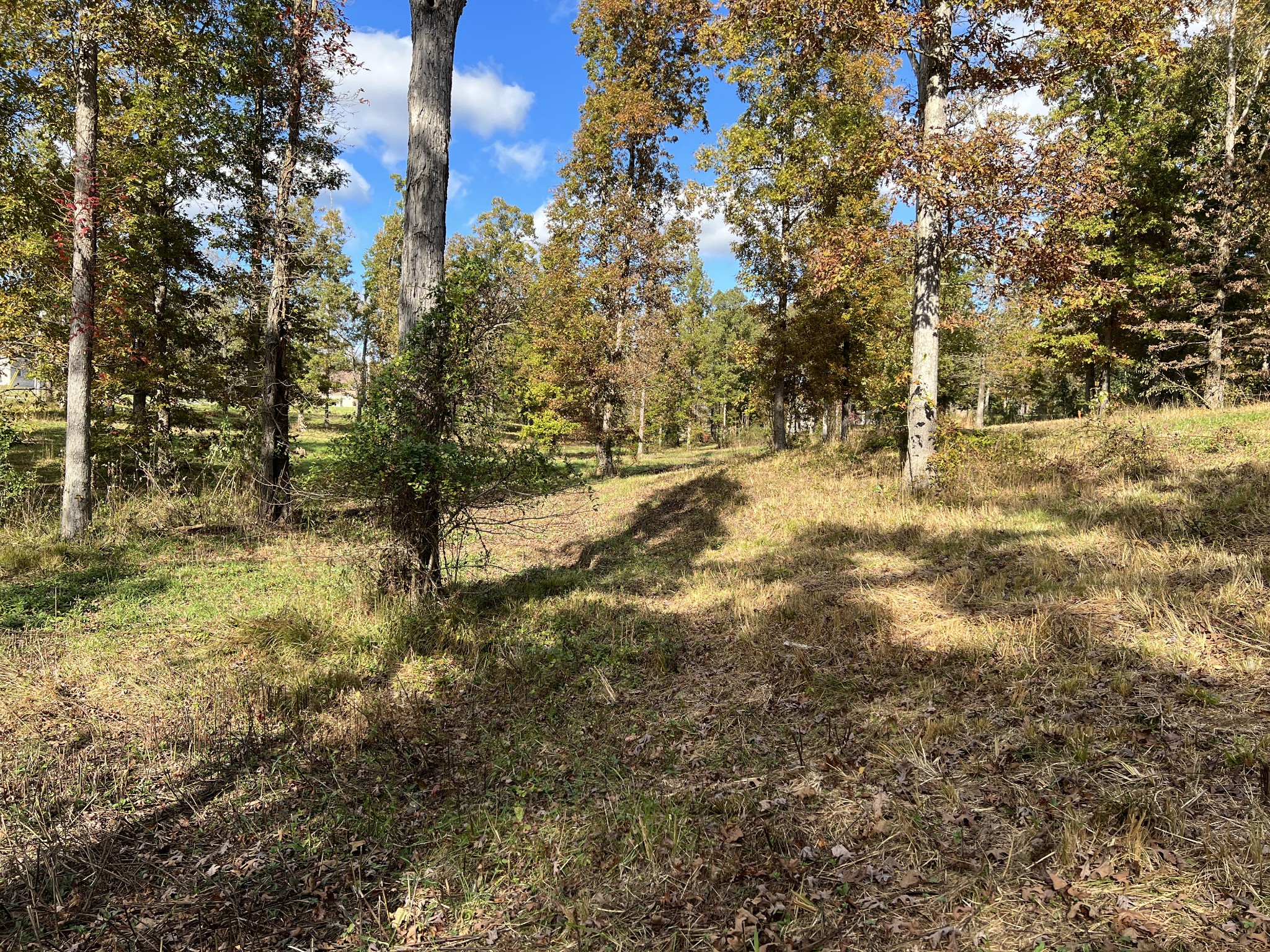 0 Double Eagle Drive Summertown, TN 38483 - Photo 7 of 20 a view of a yard with large trees