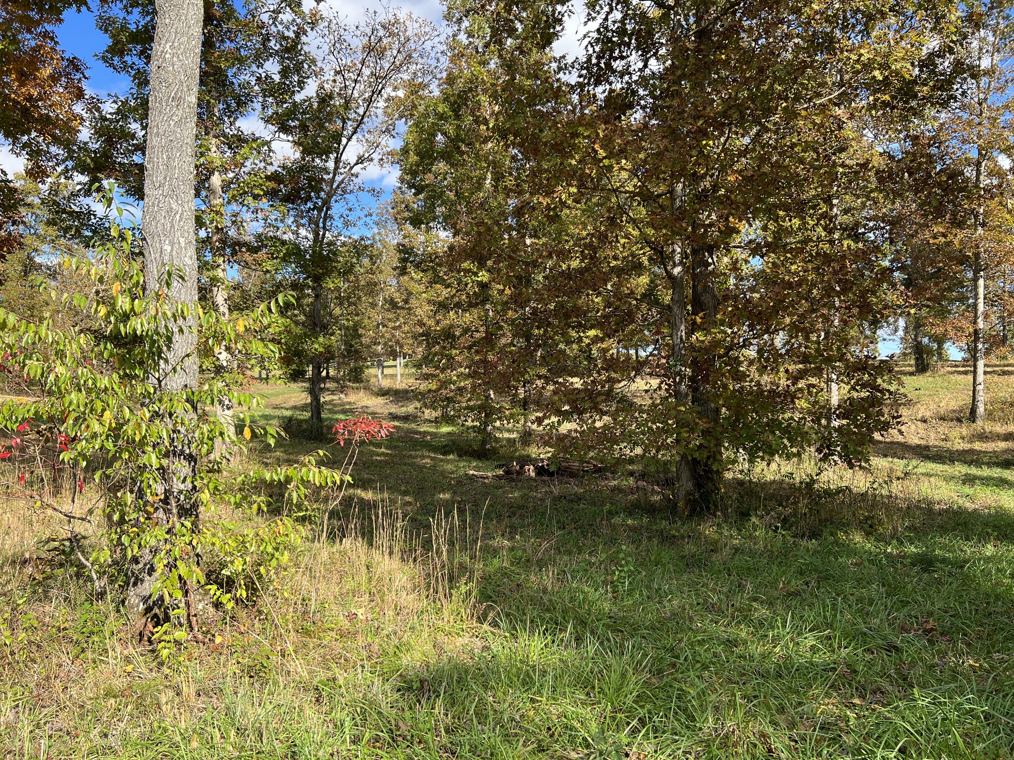 0 Double Eagle Drive Summertown, TN 38483 - Photo 8 of 20