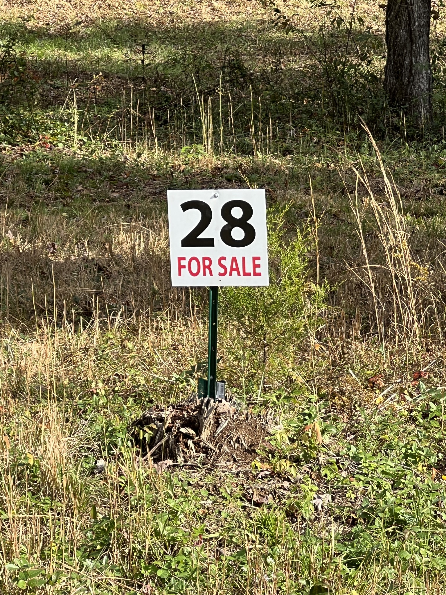 0 Double Eagle Drive Summertown, TN 38483 - Photo 9 of 20