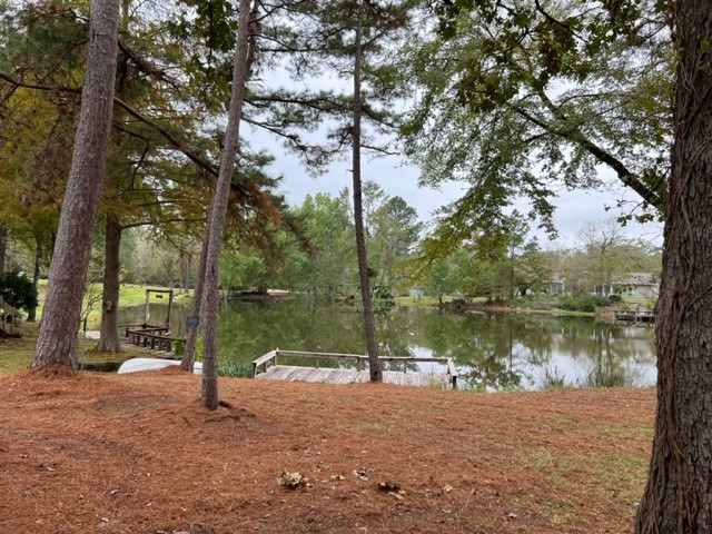 29 Thomas Lake Road Huntsville, TX 77320 - Photo 5 of 43 View of lake from glassed in porch