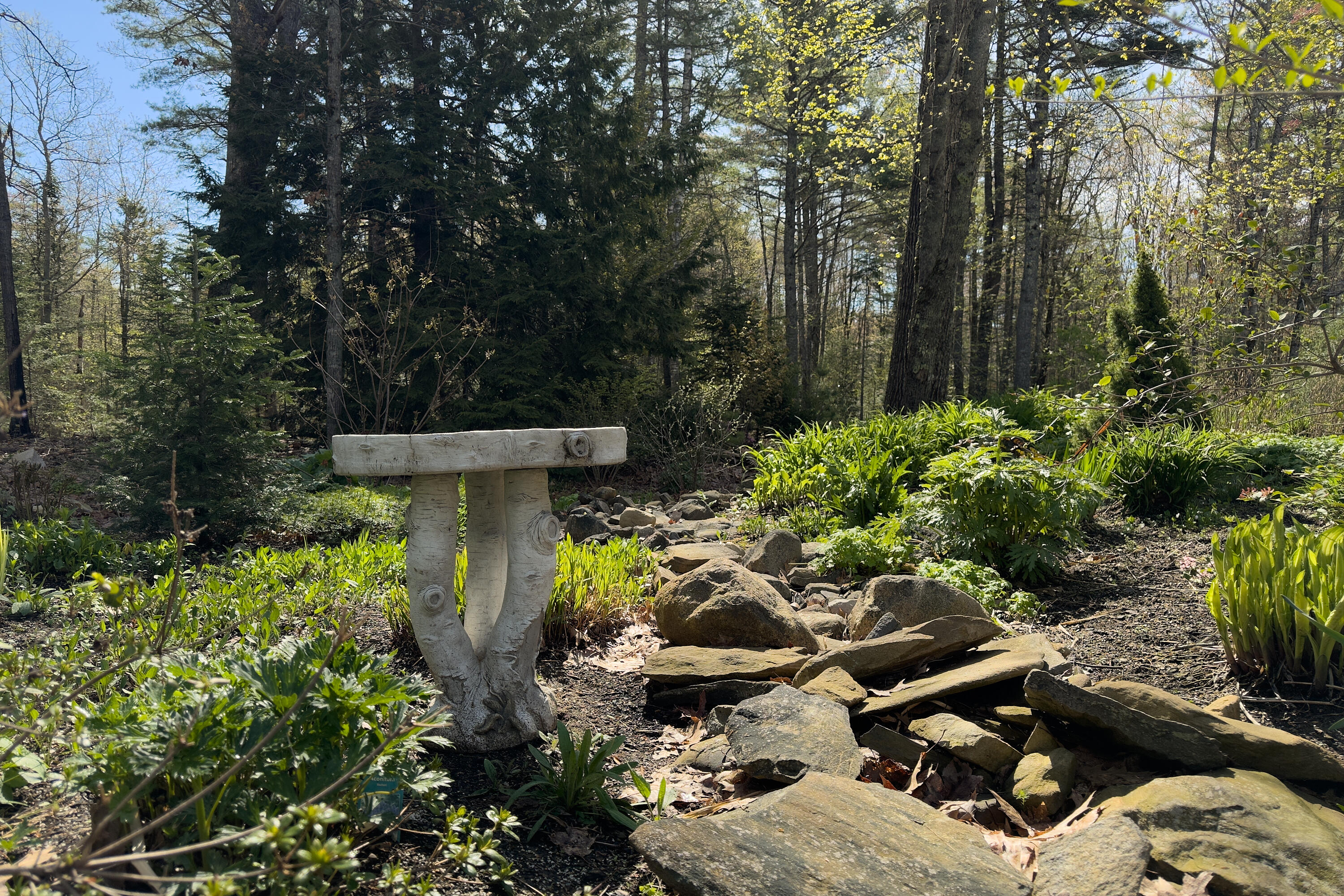 21 Nobleboro Woods Road Nobleboro, ME 04555 - Photo 52 of 63 61- 21 Nobleboro Woods Rd-Nobleboro - JA
