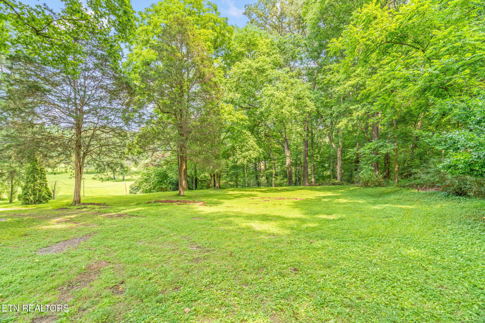 7902 Bell Campground Road Powell, TN 37849 - Photo 41 of 56 45-web-or-mls-7902 Bell Campground Road-