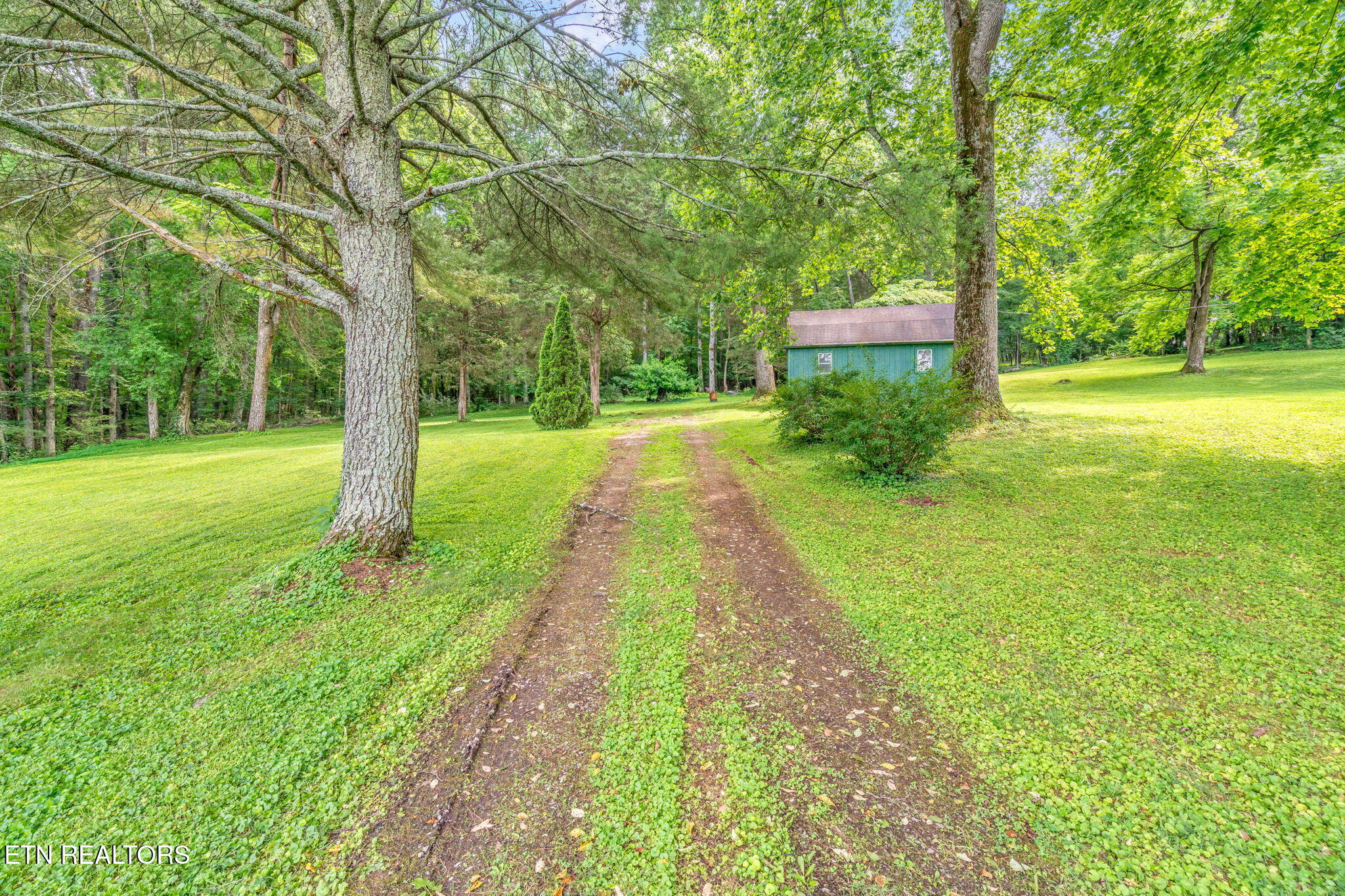 7902 Bell Campground Road Powell, TN 37849 - Photo 44 of 56 48-web-or-mls-7902 Bell Campground Road-