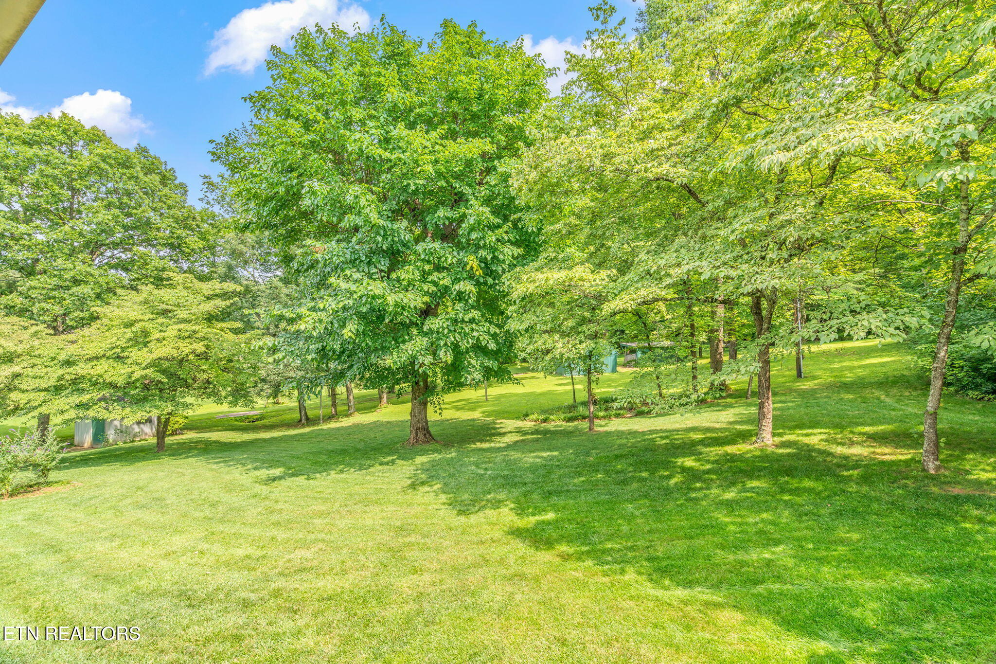 7902 Bell Campground Road Powell, TN 37849 - Photo 52 of 56 21-web-or-mls-7902 Bell Campground Road-