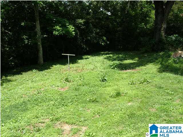 2409 Carl Jones Road Moody, AL 35004 - Photo 11 of 11