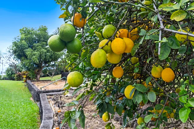 $1,499,000 | 76-996 Aeo Street, Kailua-Kona, HI 96740