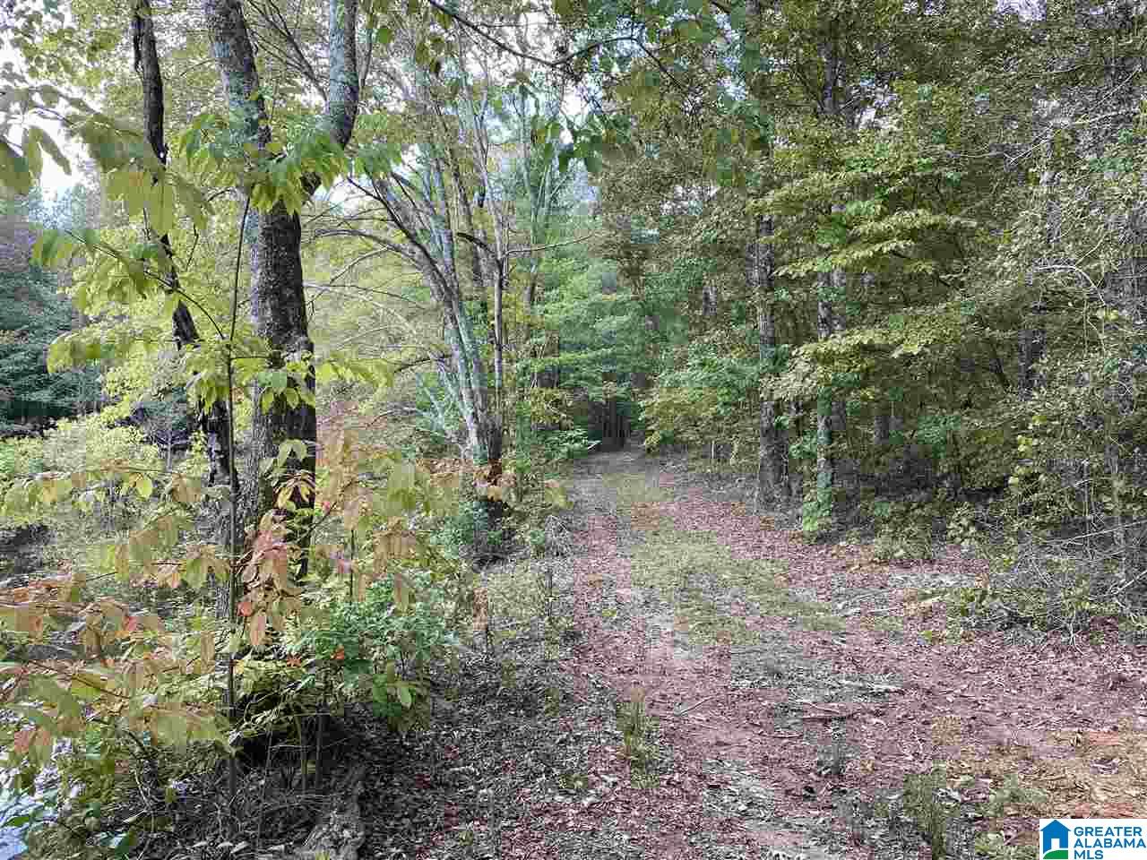 2560 Joe Lee Road, Unit 1 Talladega, AL 35160 - Photo 18 of 35