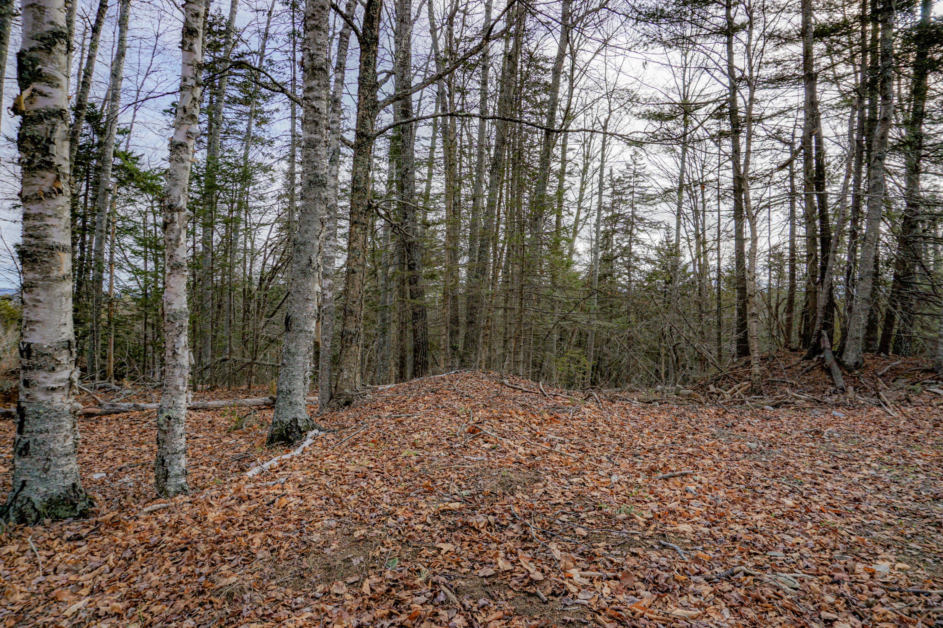 0 Main Road Islesboro, ME 04848 - Photo 44 of 44 11-_DSC1692