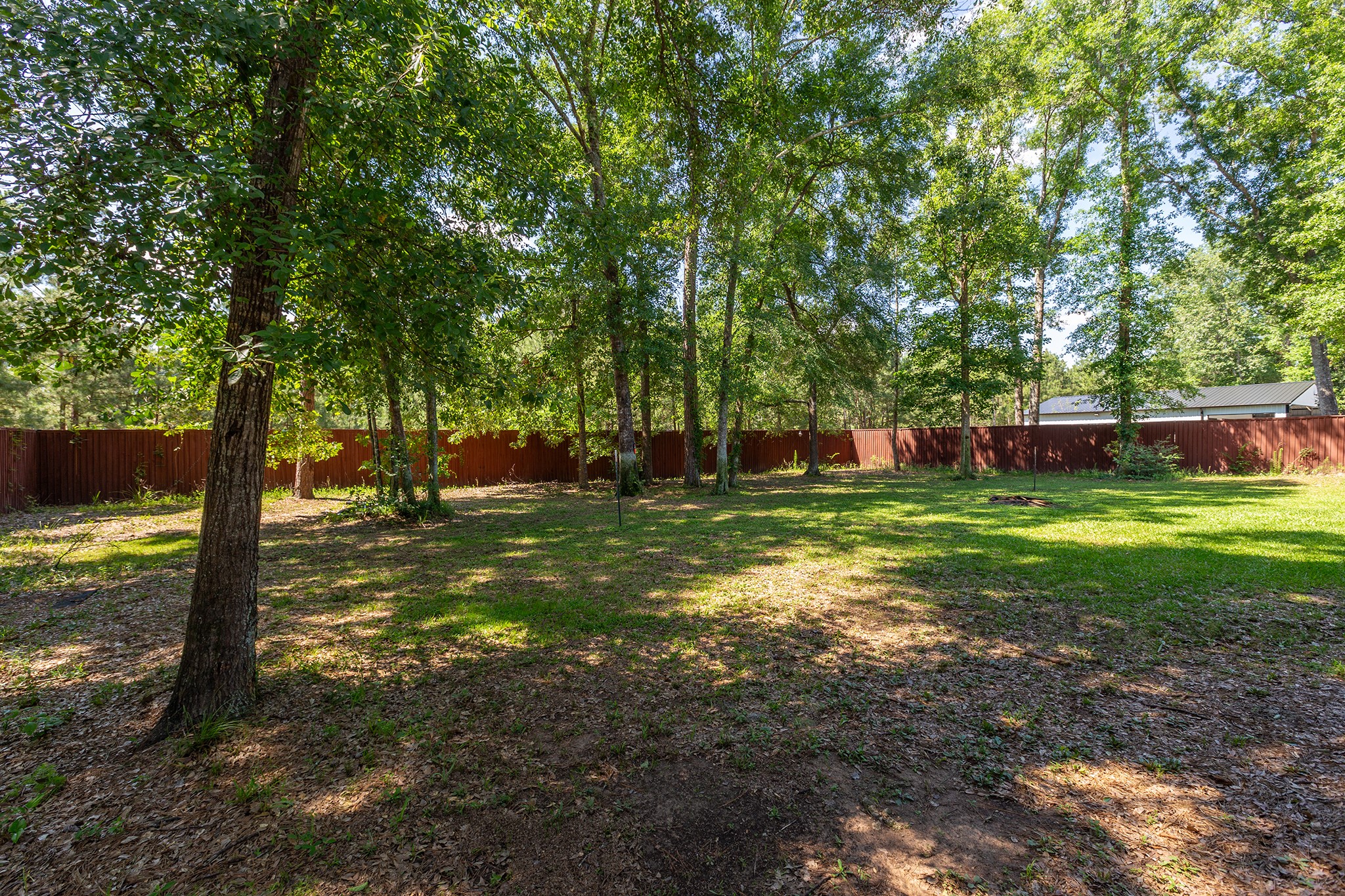 27600 Rio Blanco Drive Splendora, TX 77372 - Photo 41 of 49 a view of a tree in a yard