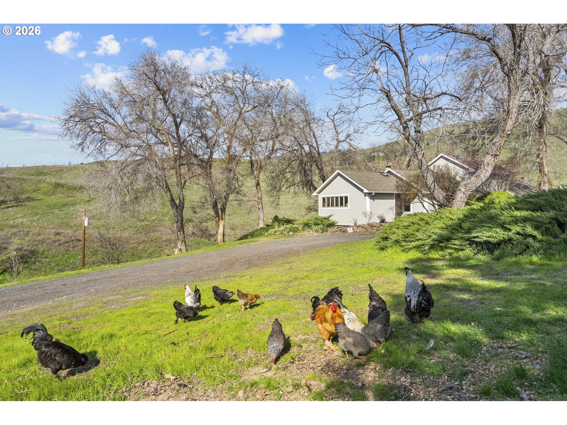 3465 3 Mile County Road The Dalles, OR 97058 - Photo 12 of 48