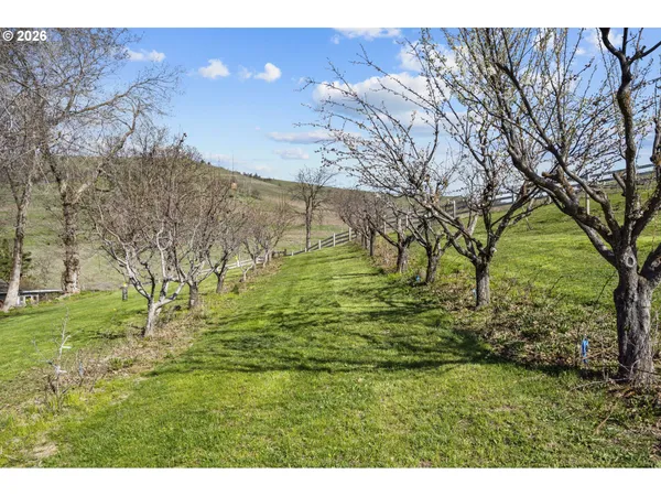 a big yard with lots of green space
