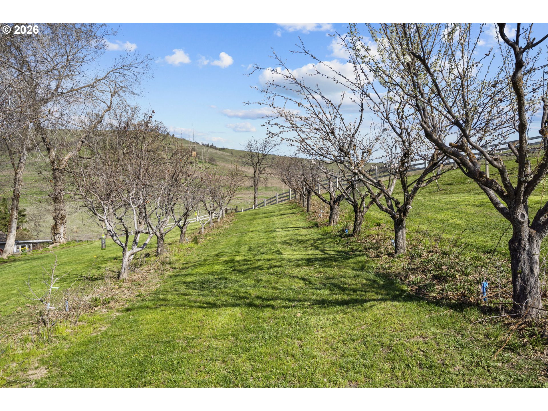 3465 3 Mile County Road The Dalles, OR 97058 - Photo 18 of 48