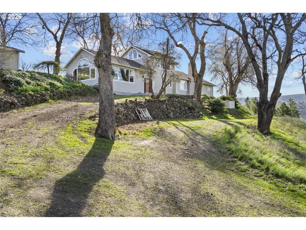 a view of a yard with plants and large trees
