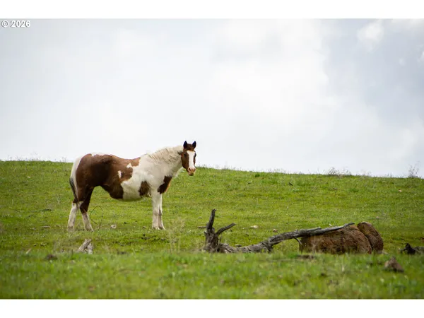 a view of a pathway with a building in the background