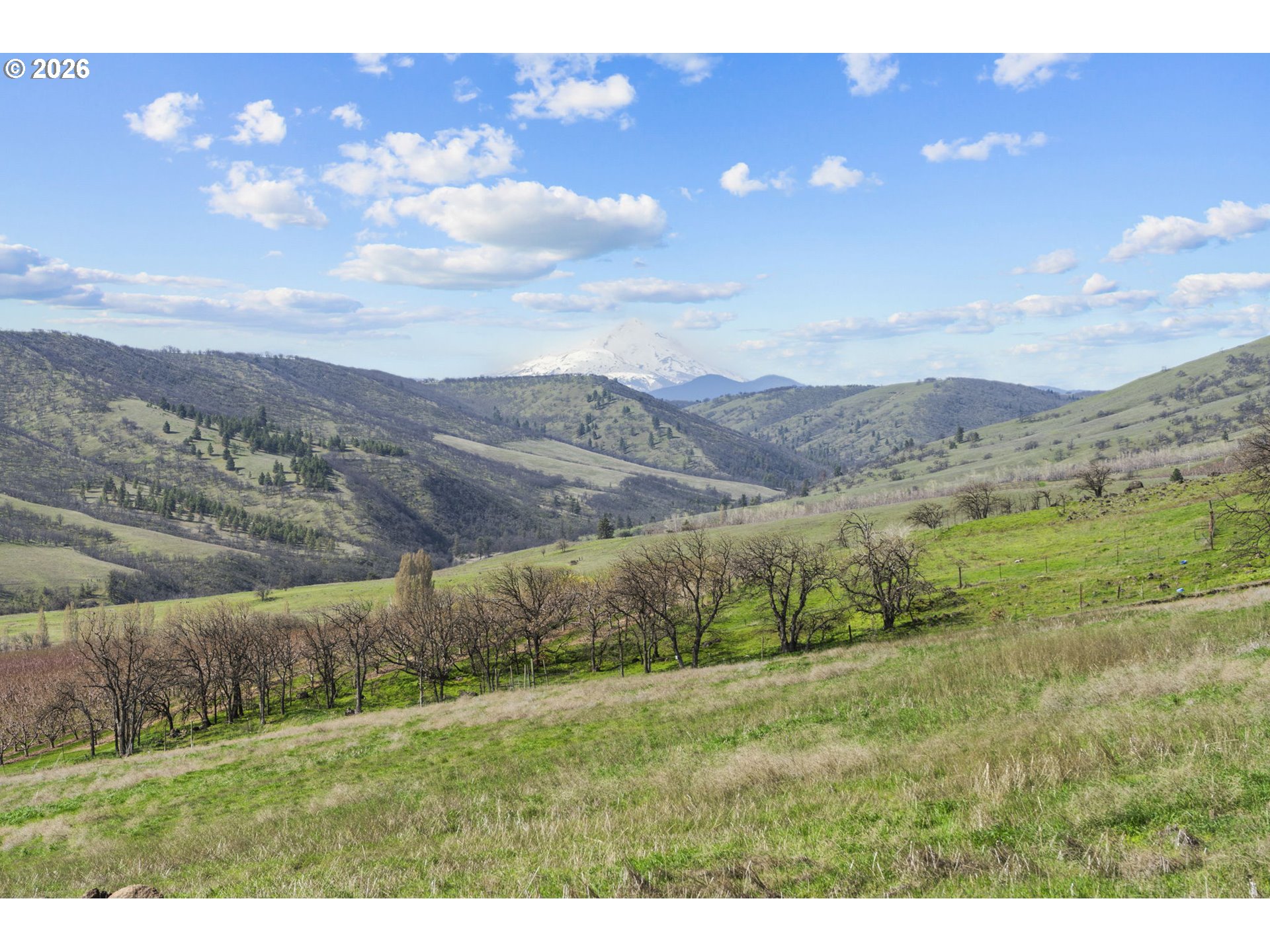 3465 3 Mile County Road The Dalles, OR 97058 - Photo 33 of 48