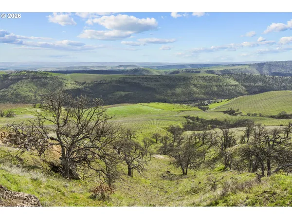 a view of a trees in a field