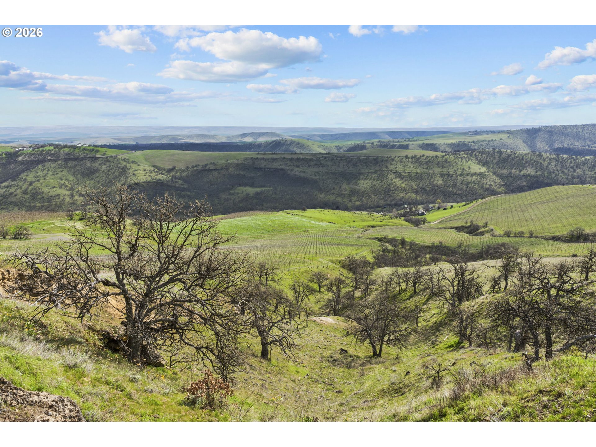 3465 3 Mile County Road The Dalles, OR 97058 - Photo 34 of 48