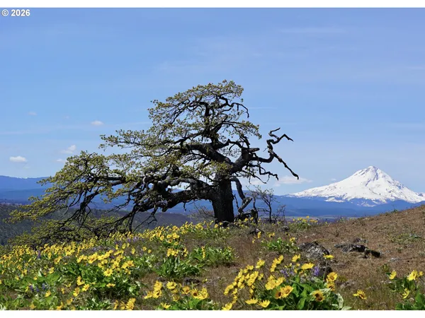 a view of an outdoor space