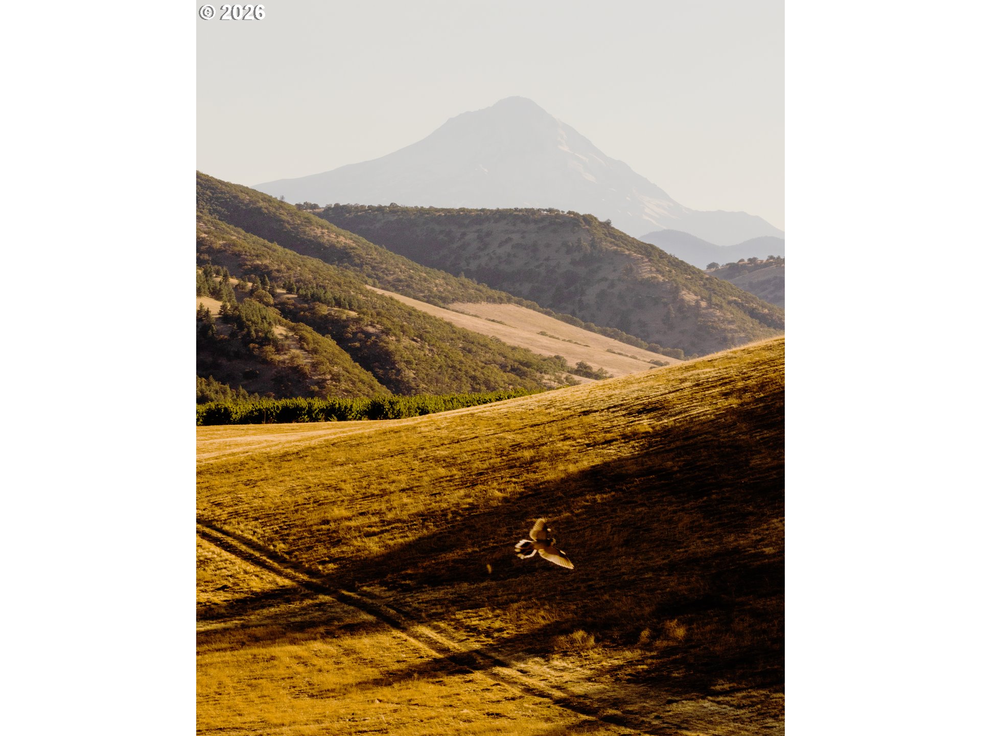 3465 3 Mile County Road The Dalles, OR 97058 - Photo 37 of 48