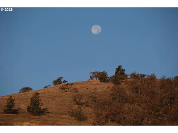 a view of a field with an ocean