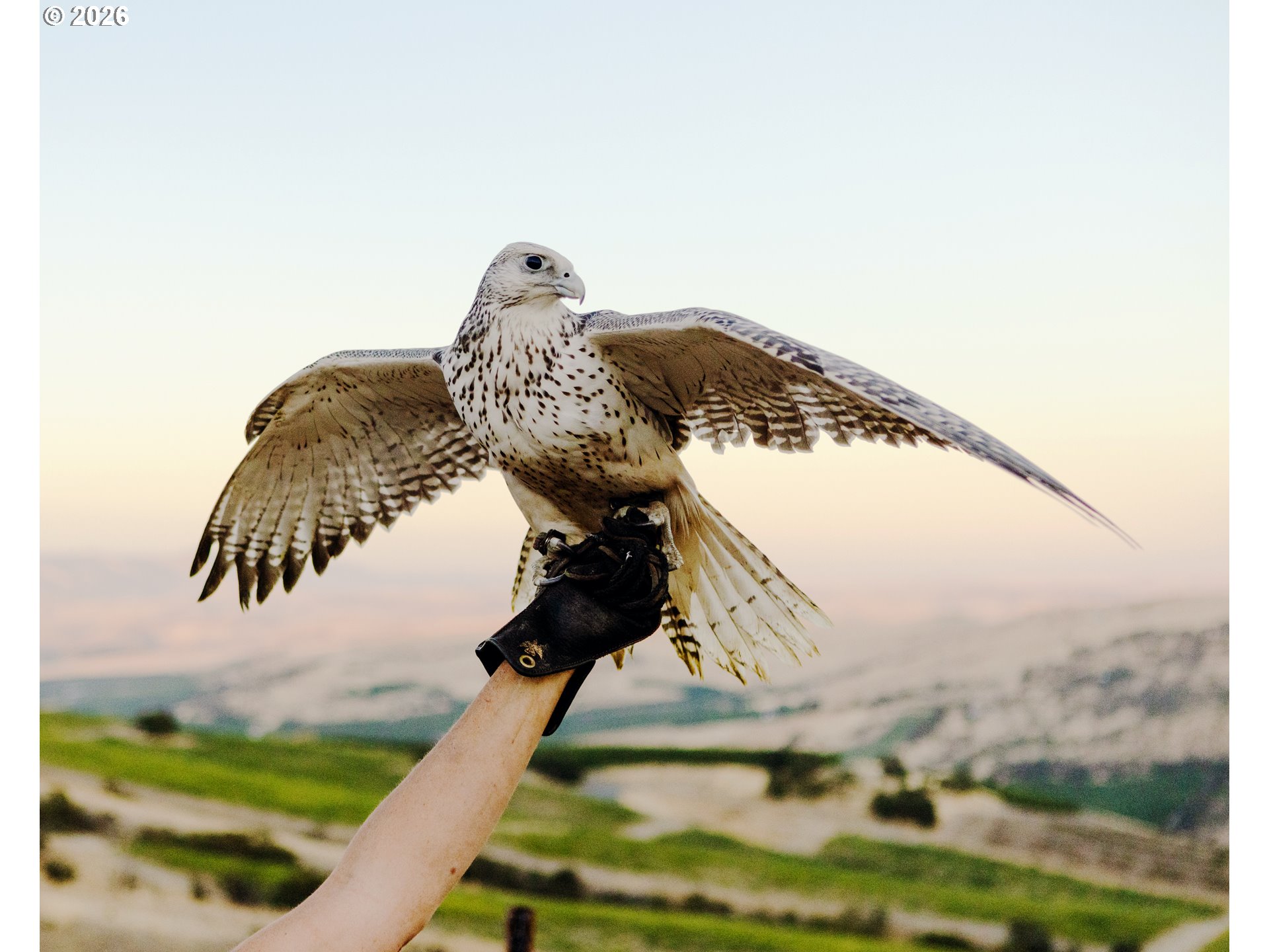 3465 3 Mile County Road The Dalles, OR 97058 - Photo 45 of 48