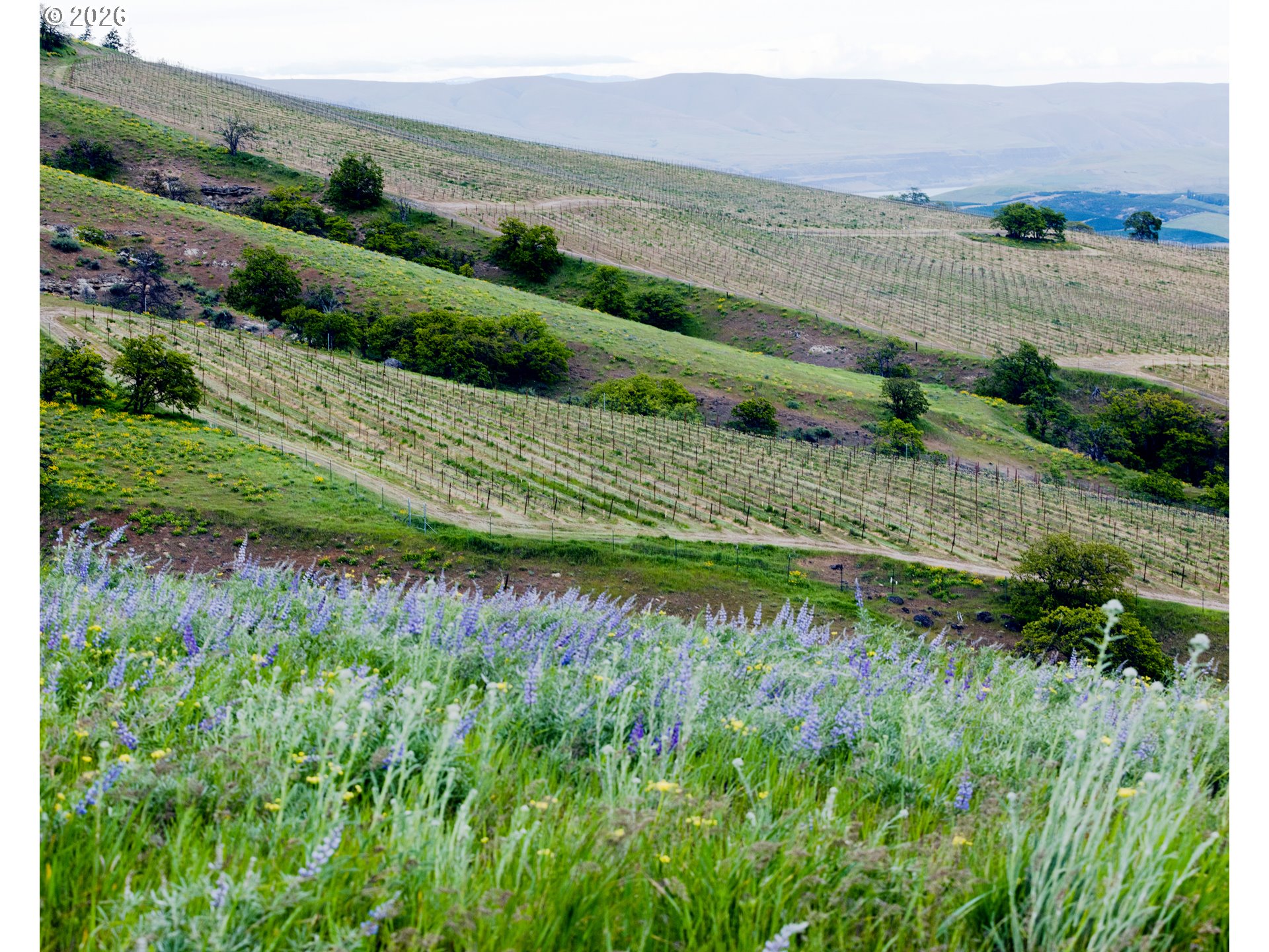 3465 3 Mile County Road The Dalles, OR 97058 - Photo 46 of 48