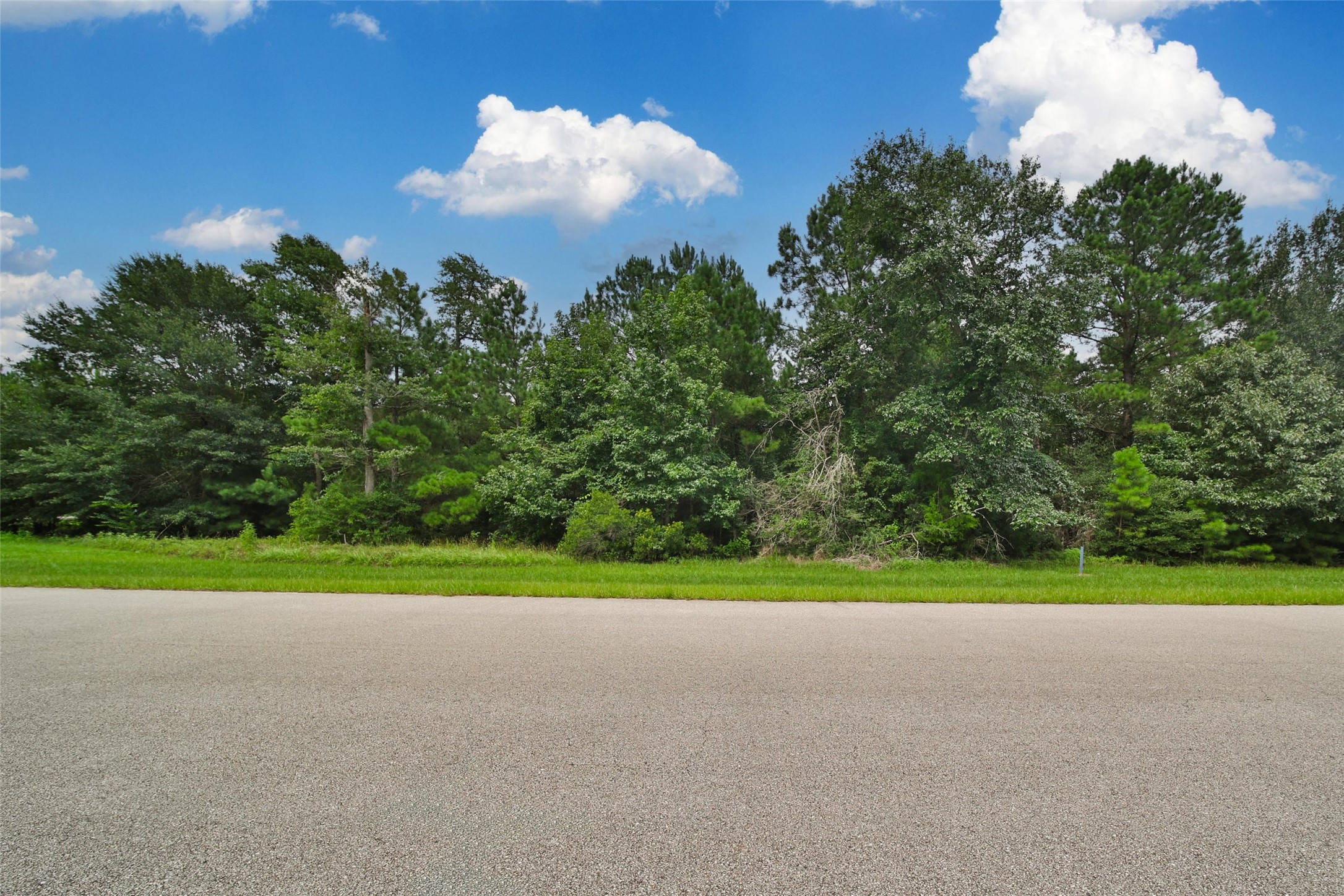 26180 Enzos Way Montgomery, TX 77316 - Photo 1 of 19