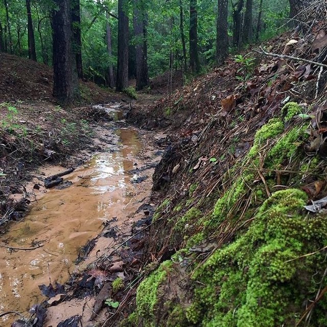 26180 Enzos Way Montgomery, TX 77316 - Photo 18 of 19