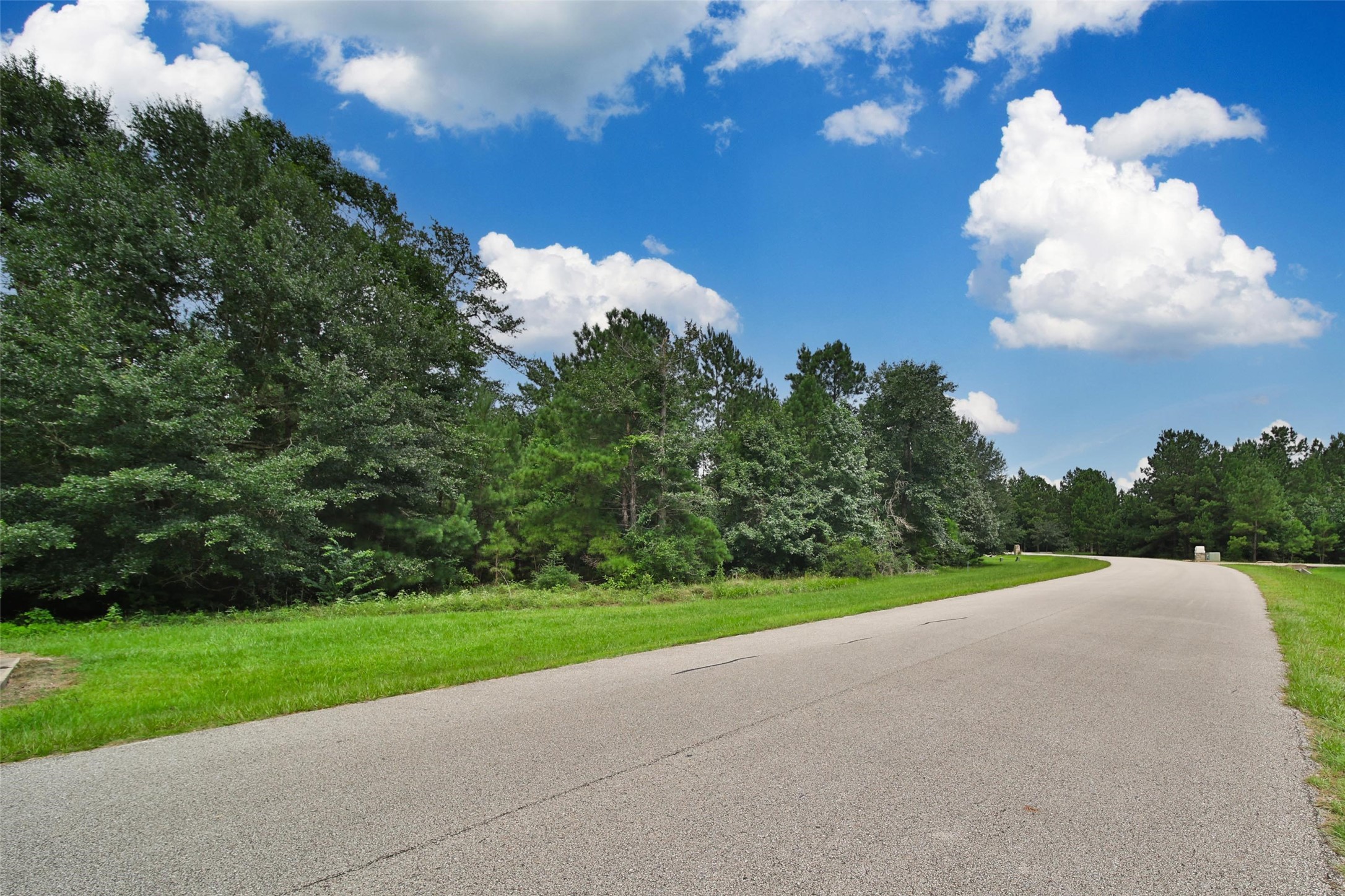 26180 Enzos Way Montgomery, TX 77316 - Photo 2 of 19