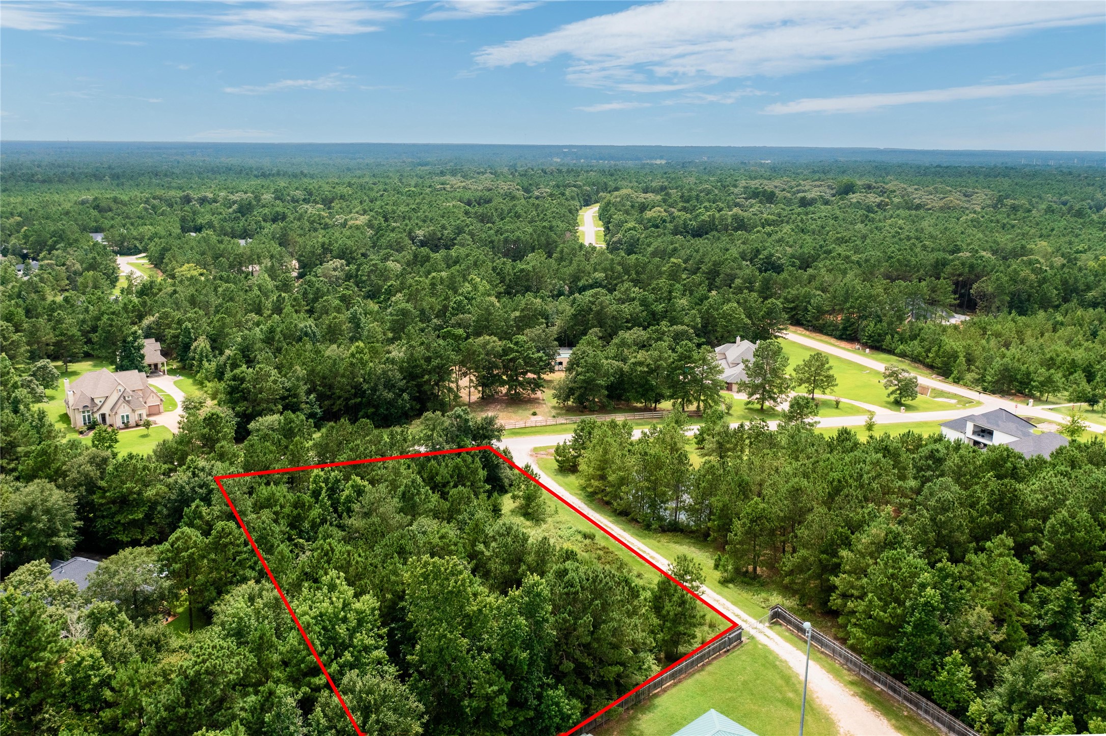 26180 Enzos Way Montgomery, TX 77316 - Photo 9 of 19