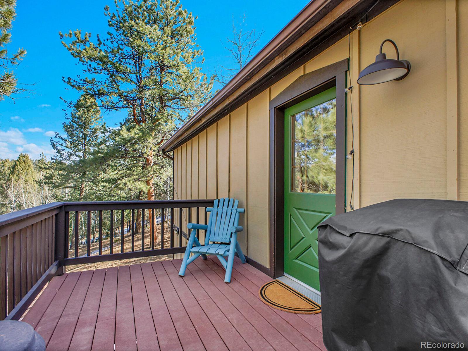 638 Impala Trail Bailey, CO 80421 - Photo 35 of 50