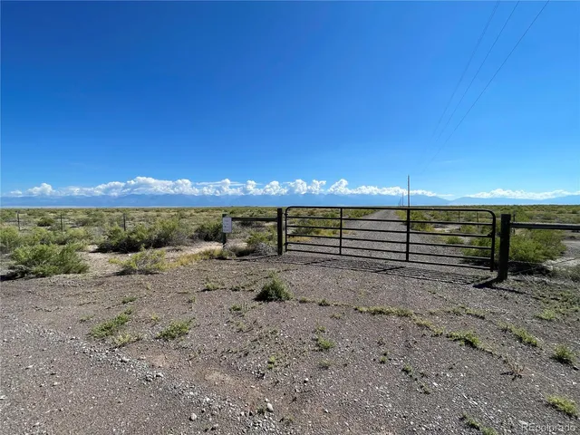 a view of a dry yard
