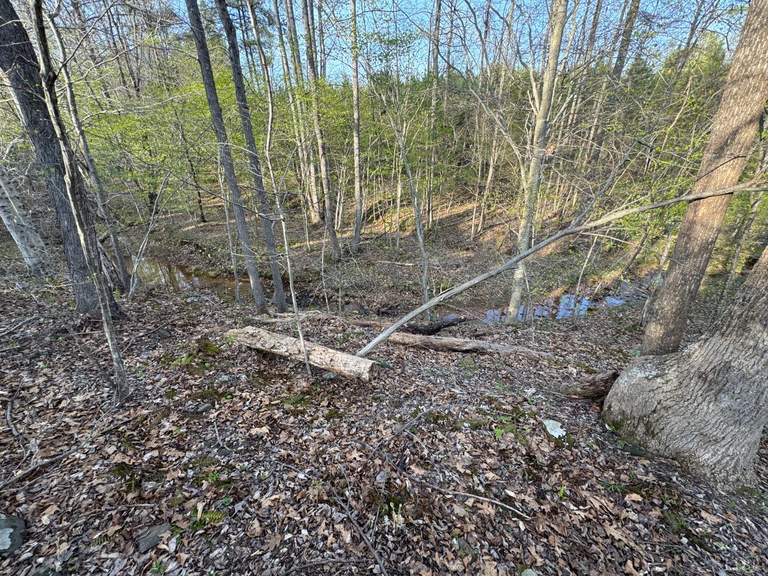 0 Old Courthouse Road Appomattox, VA 24522 - Photo 42 of 55 Gallery Image 42